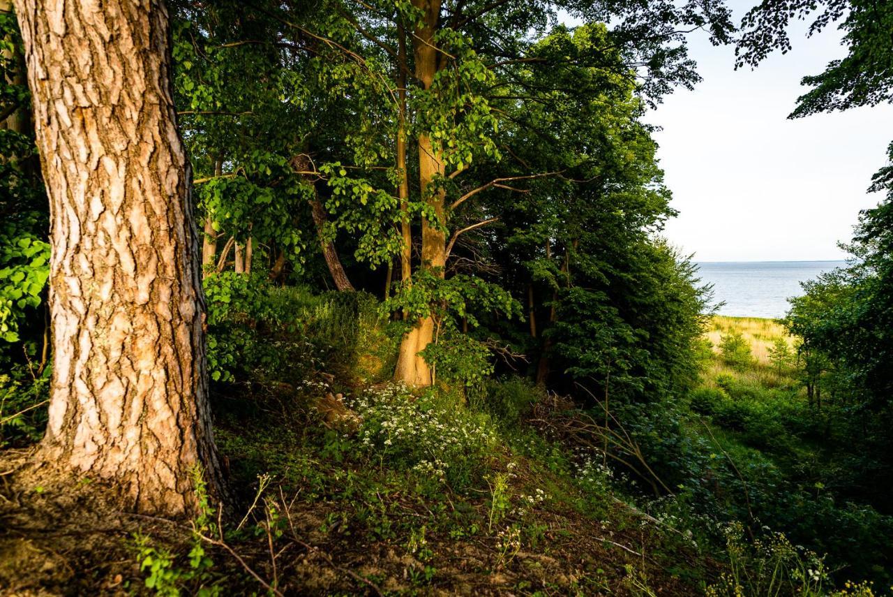Luxusferienhaus Fuchsbau - Mit Netflix, Playstation, Sauna, Sportraum Und Kamin Zirchow Εξωτερικό φωτογραφία