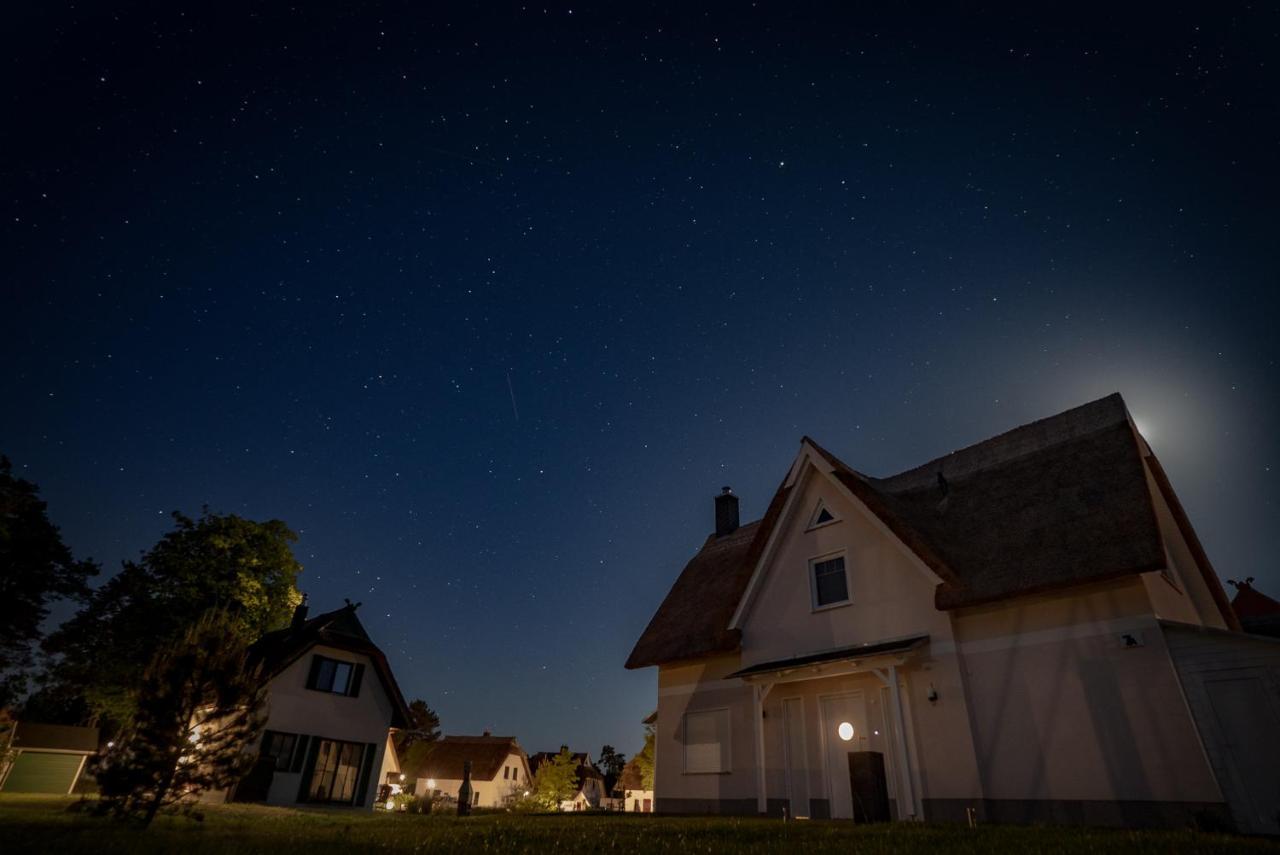 Luxusferienhaus Fuchsbau - Mit Netflix, Playstation, Sauna, Sportraum Und Kamin Zirchow Εξωτερικό φωτογραφία